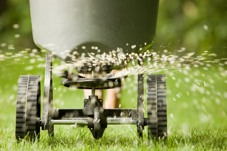 common-chemicals-to-avoid-in-your-lawn-care-routine